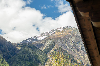 025 Schweizerhof Arnika
