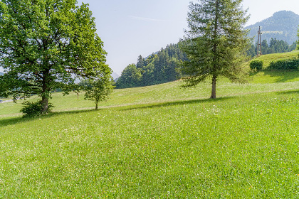 016 Klein Hintermuhltalhof