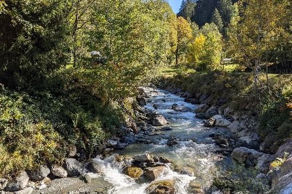 018 Apartments Waldinger Top 3 und 4