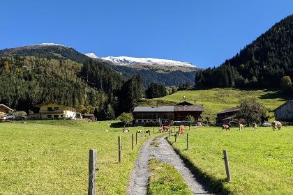 035 Haus Tauernblick Top 3