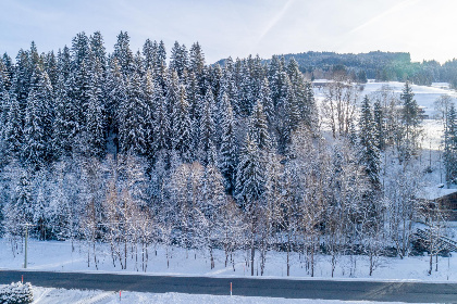 017 Blick auf den Rettenstein Top 1