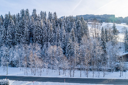029 Blick auf den Rettenstein Top 2