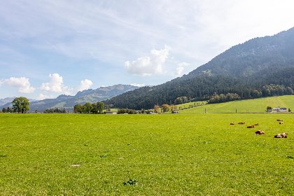 024 Brauhof