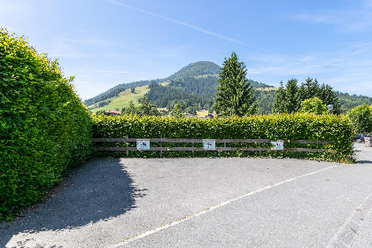 038 Gaisberg Alpin