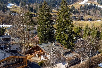 038 Marchfeld 038 Marchfeld