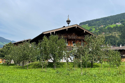 041 Blick zum Mayrhofen