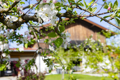 032 Auszeit am Bauernhof