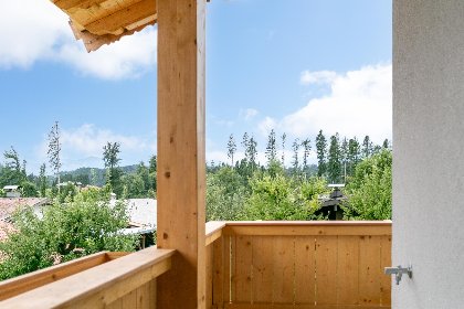 004 Buchen Nest