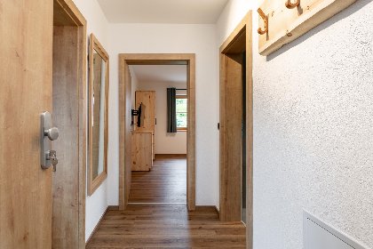 019 Buchen Nest