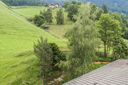 015 Ferienhaus an der Blumenwiese