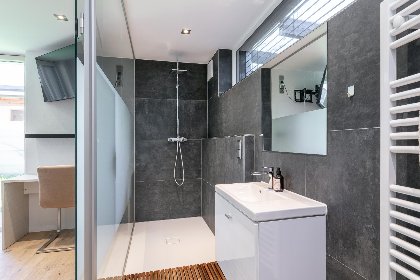 026 Alpin Chalet ARTE