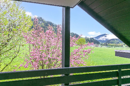 020 An der Schiwiese