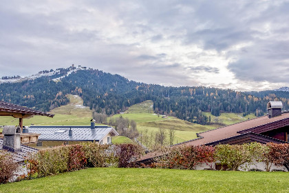 018 Berg und Blute I