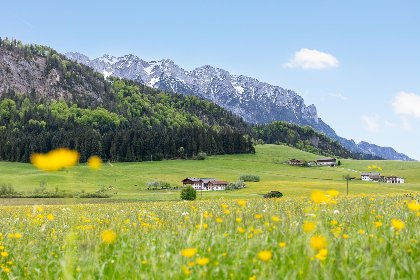029 Schwemmblick am Marschbachhof