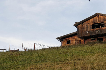 015 Sonnenhutte oben
