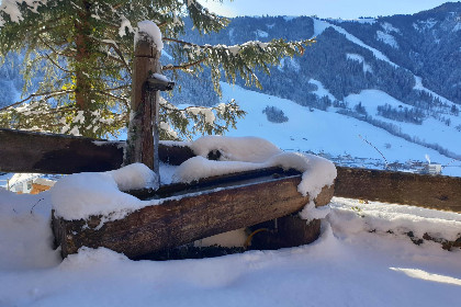 023 Sonnenhutte oben