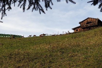 013 Sonnenhutte unten