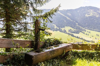 045 Sonnenhutte unten