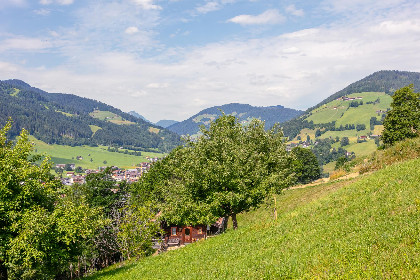 030 Zaustoi Altes Haus