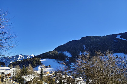 029 Zaustoi