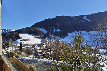 031 Zaustoi