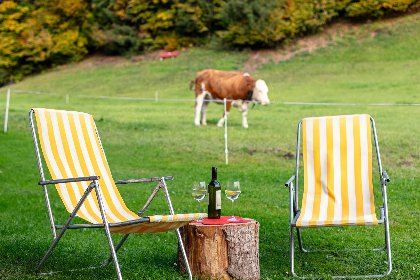 036 Tiroler Bergtraum Top 1 und 2