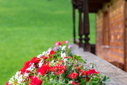 023 Tiroler Bergtraum Top 2