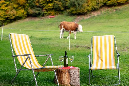 028 Tiroler Bergtraum Top 2