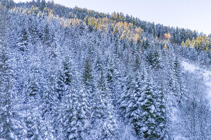 051 Yosi im Brixental