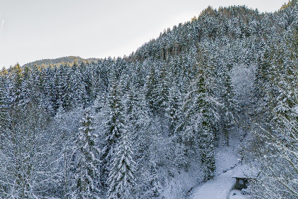 052 Yosi im Brixental