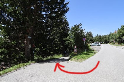 019 Edelwei&szlig;hutte