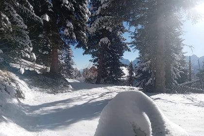 025 Edelwei&szlig;hutte