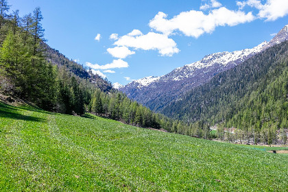 052 Gletschertraum