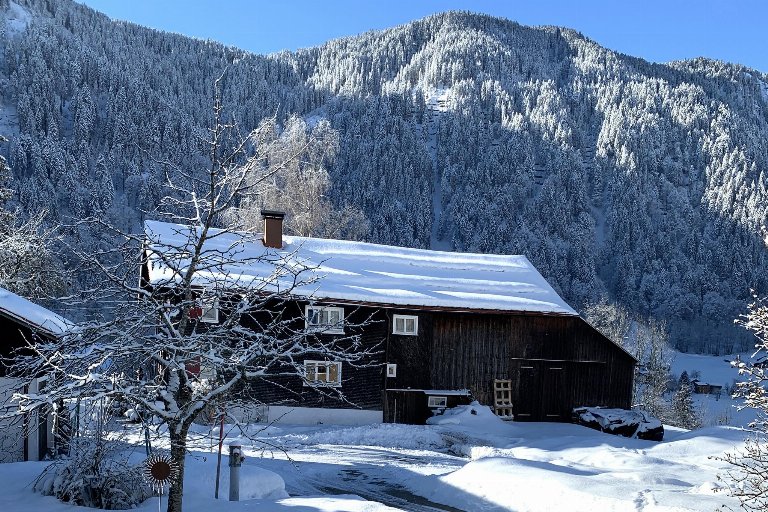 Oostenrijk, Vorarlberg, Dalaas