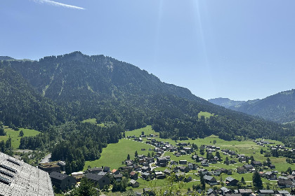 039 Schwarzmann