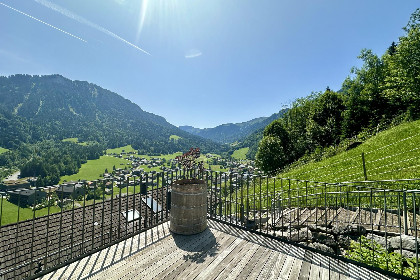 040 Schwarzmann