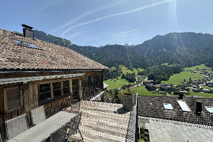 042 Schwarzmann