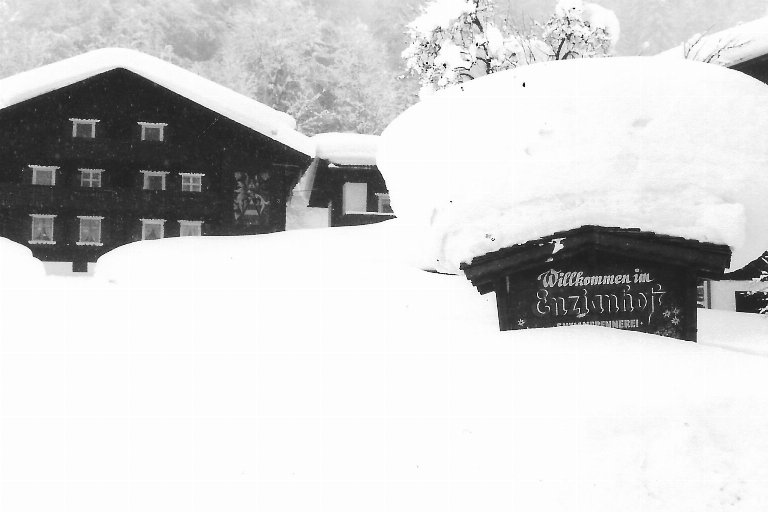 Oostenrijk, Vorarlberg, Silbertal